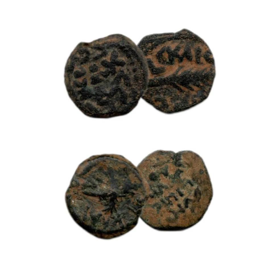 Box of 2 Ancient Bronze Coins from the Trials of St. Paul 🇮🇱 - Image 2 of 3