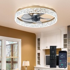 Depuley 16in Ceiling Fan with Lights Remote Modern Low Profile Flush Mount Dimma