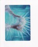 2023 MTG MAGIC WILDS OF ELDRAINE ART SERIES HYLDA'S CROWN OF WINTER