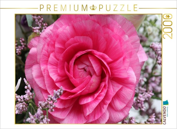 Calvendo Puzzle Perfect Ranunculus Flower | 2000 Pieces, Finished Size 35.4 × 26-image