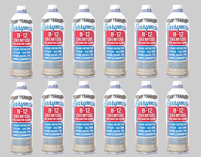 Berryman B-12 Chemtool Fuel Injector Cleaner Fuel System Cleaner 15 oz 0116-12pk