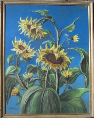 Pastel Picture Floral Still Life Sunflower Heads under Open Blue Sky