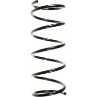 Spidan 55335 Fahrwerksfeder FüR Ford Focus DAW DBW DNW DFW