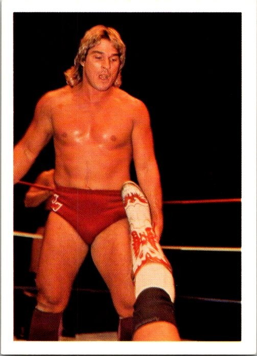 1988 Wonderama NWA - Terry Taylor #22 (RC)