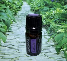 doTerra Console Essential Oil 5ml NEW SEALED w. Frankincense, Ylang, Sandalwood,