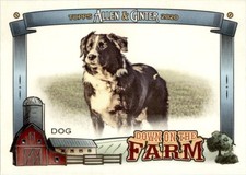 Dog 2020 Topps Allen & Ginter Down on the Farm #DF-D