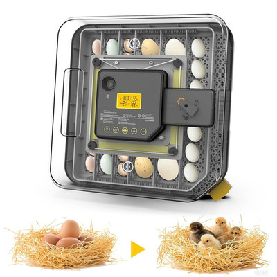 48 Egg Incubator with Candler, Auto Turner, Temp & Humidity Control for Farm & L