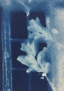 ACEO original Cyanotype 2.5”x3.5” - “Isolated House” 4/4 by Mia Macabeo