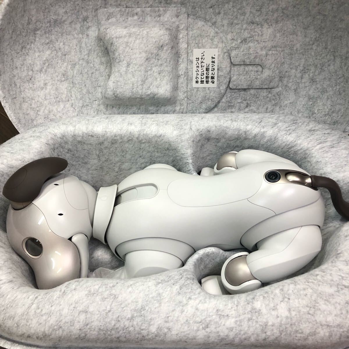 Sony AIBO ERS-1000 AI Entertainment Robot Dog Ivory Whit