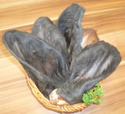 30 Stück RINDEROHREN MIT FELL Kauartikel kausnack24 Fellohren Kaustange GÜNSTIG