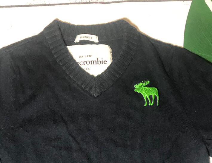 Abercrombie Kids Boys Blue  V-Neck Long Sleeve Sweater Pullover Sweatshirt  Sz S image 4