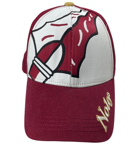Florida State Seminoles FSU Team 