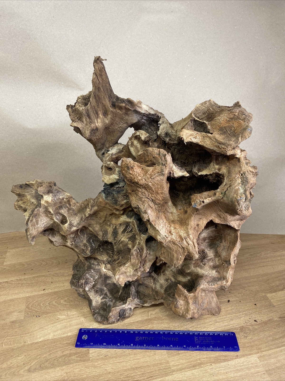 BW179 Bogwood Oak Large For Aquarium or Vivarium, Aquascape Driftwood