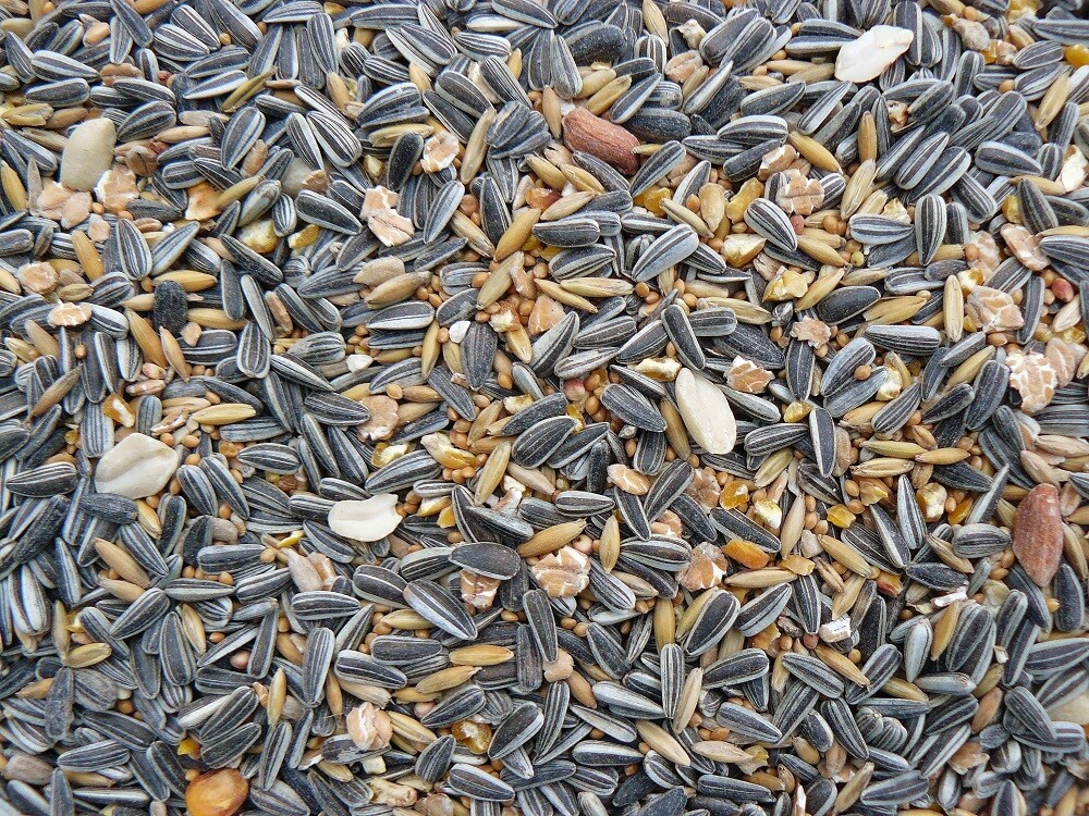 Erdtmanns Meisenfutter 25 Kg Ab 49,49 € | Preisvergleich Bei