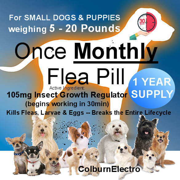 12 Month Supply Flea Control – 1 Year Flea Killer Pills - for Dogs (5 - 20IBs)