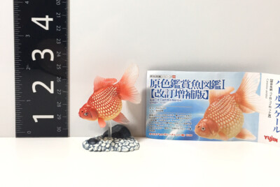 Yujin 原色 図鑑 魚フィギュアセット27点 18 Realistic Saltwater Fish (Edible) Figures / 原色海水魚