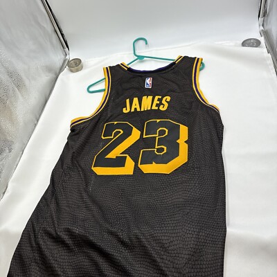 lebron james nike wish jersey