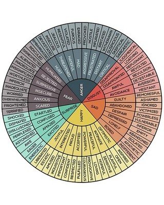 Wheels Of Emotion Vintage Poster Robert Plutchik Psychology Mood Chart