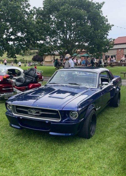 eBay - 1967 Mustang 289 V8 Coupe