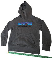 Patagonia Youth Junior Sweater Pullover Hoodie Gray