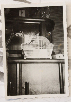 photo 1934 budgie cage apartment vintage G2