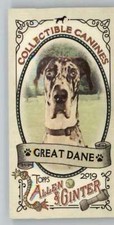 2019 Allen and Ginter Collectible Canines Mini #CC-7 Great Dane