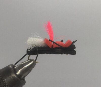 One Dozen (12) - Fat Albert - Black and Red - Terrestrial