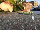 Gold Metal Bangle Cuff Bracelet Gorgeous Jade Green Stones &