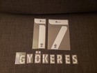🔥Viktor Gyökeres RC, 2021-22 Player Issue Coventry City Shirt, EFL Championship — photo 3
