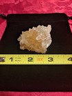 Honey Amber Calcite Clam Crystal Specimen from Rucks Mine, Florida 💛 — photo 2
