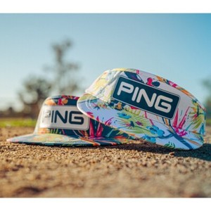 Ping Clubs of Paradise | eBay display picture 2