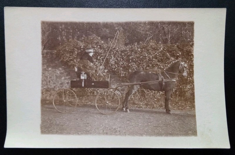Vintage RPPC ~ Horse & Buggy Carriage Old Woman RPPC Real Photo Postcard