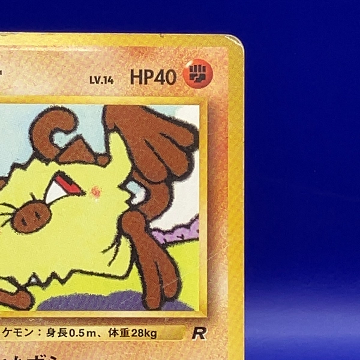 【未開封】 コミック 海外版 5冊 セット まとめ売り MANKEY - Japanese Jungle Set - No. 056 - Common - Pokemon