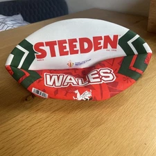 Steeden World Cup Rugby Ball Size 5 - Wales 2021