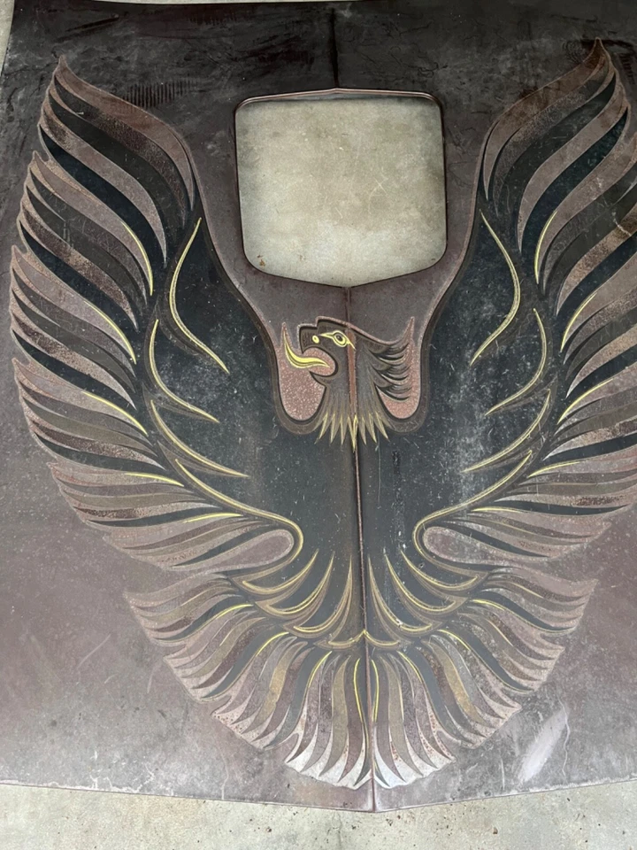 Capó agitador marrón original OEM GM 1977-1981 Pontiac Firebird Trans Am Heritage Foto 3 de 4