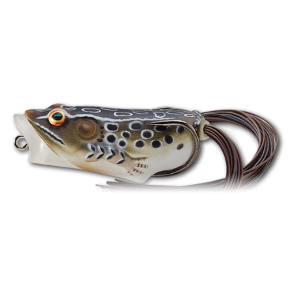 Señuelo Live Target Frog - Cuerpo hueco Popper (FHP55T) cualquier 8 colores 3/8 oz Topwater Foto 4 de 4