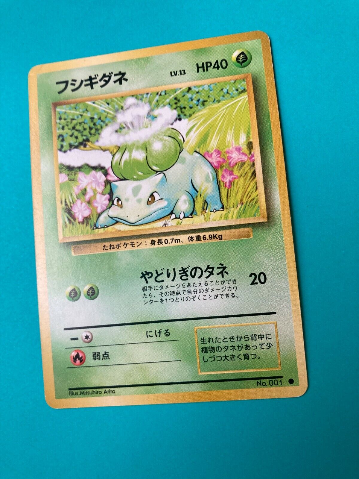 ThePokémanGoes on X: #001: Bulbasaur🍃 Here it is. The very first