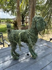 POODLE  Dog Topiary 26&rdquo;x28&rdquo;H GrandinRoad  SUN DAMAGE/ In Need of Repair