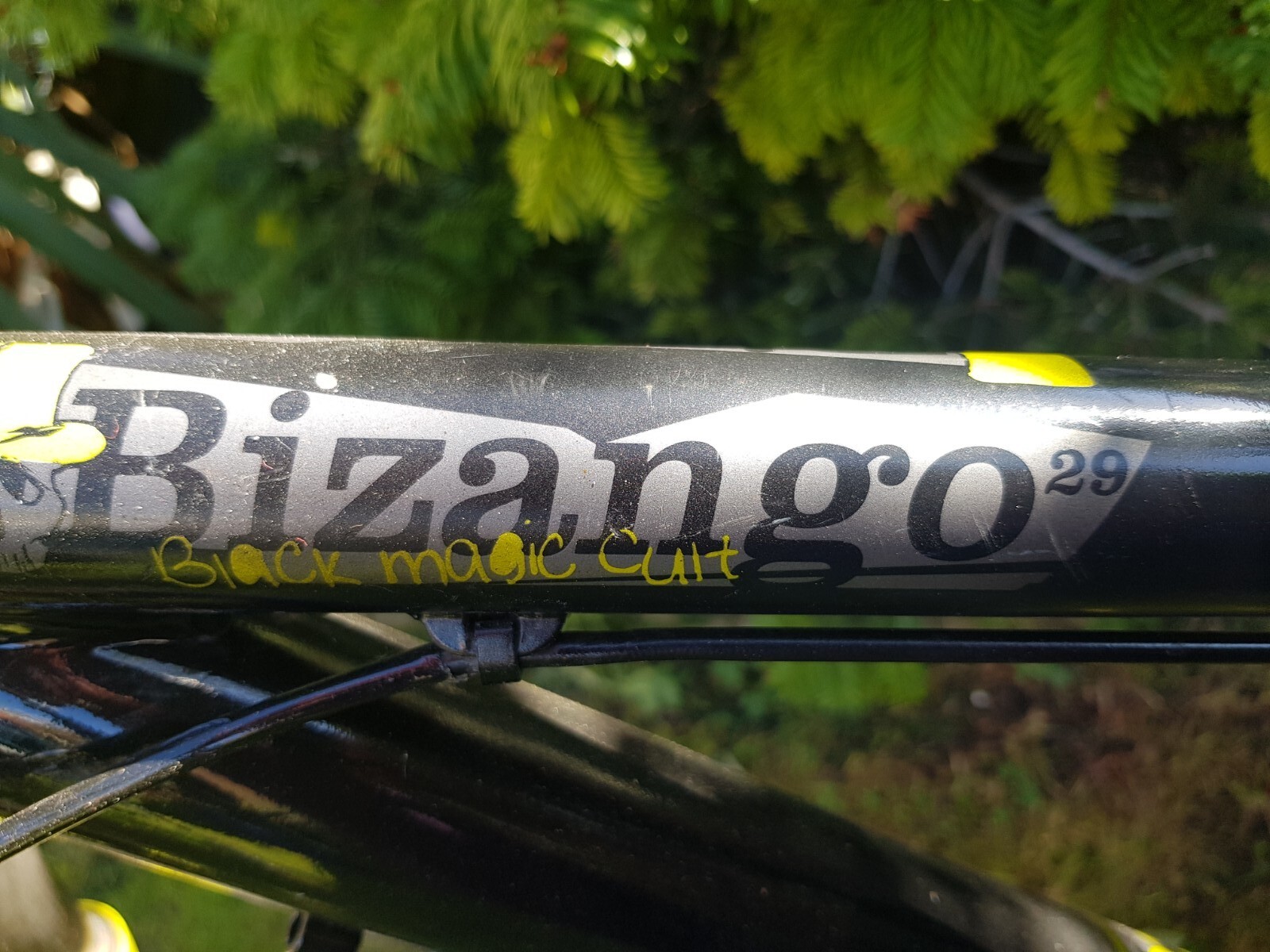 voodoo bizango 29