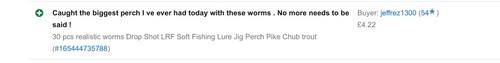 30 pcs realistic worms Drop Shot LRF Soft Fishing Lure Jig Perch Pike Chub trout - Picture 4 of 4
