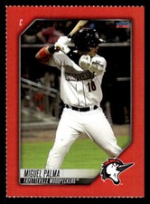 Miguel Palma 2022 Fayetteville Woodpeckers SGA #15  Rookie