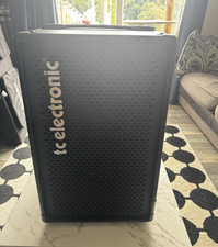 TC Electronic BG250 250W Solid State Bass Combo Amp 2x8