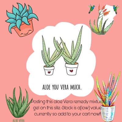 mini agave Agave Parviflora 8