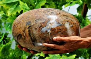 Huge 31CM Specimen Yellow Mexican Moss Agate Crystal Healing Energy