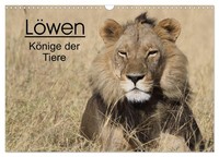 Calendar 2027 · US Version · Lions - Kings Of The Animals (Wall Calendar 2027 17