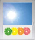 Privacy Film Sun Protection Window Film - GME165 - Citrus Lemon