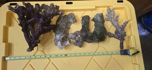 Tonga Branch Live Rock 10lbs