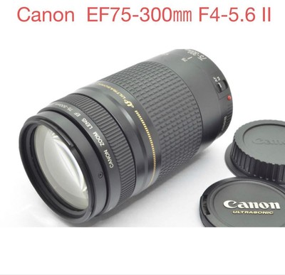 Canon EF 75-300mm F4-5.6 II Telephoto Zoom Lens for Canon Cameras