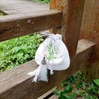 Bild 6 von 10