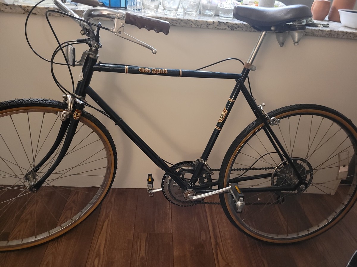 Vintage Sears Roebuck Free Spirit Bike Men’s Bicycle Greenbrier Model - Main Image